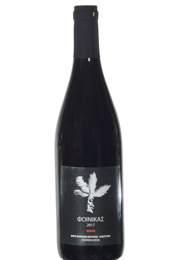 Picture of Foinikas Black 2022 - Drouvas Winery